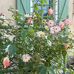 度假居 Former Railway Keeper's House With Rose Garden