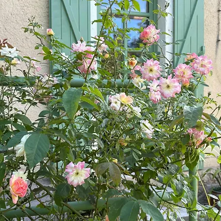 Nyaraló Former Railway Keeper's House With Rose Garden